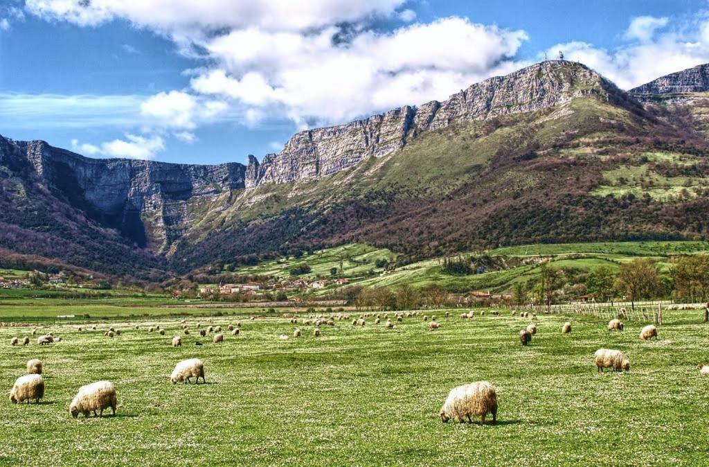 Zikoinaren Txokoa Hébergement de vacances Orduña
