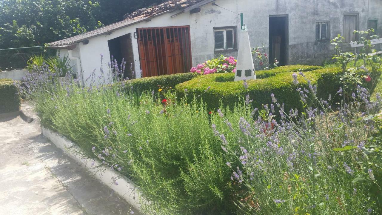 Zikoinaren Txokoa Hébergement de vacances *
