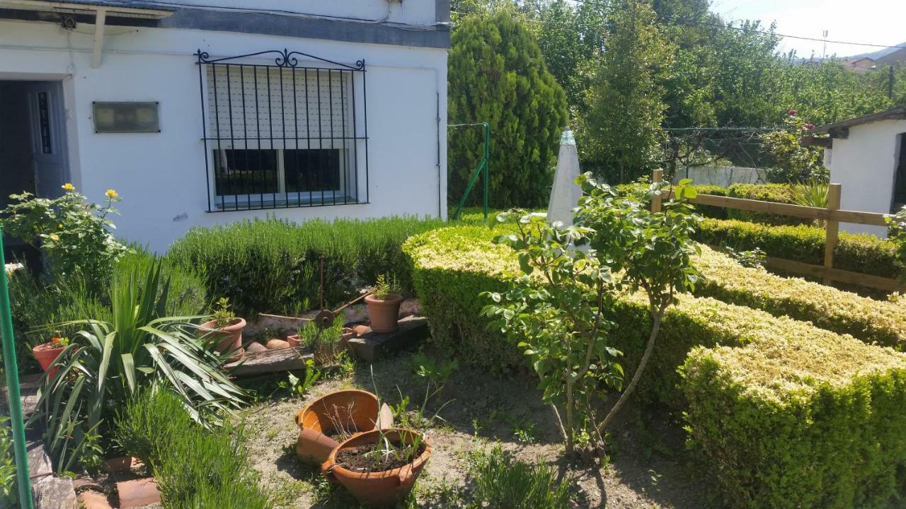 Holiday home Zikoinaren Txokoa